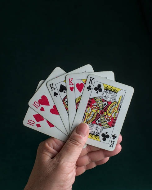 Player account dashboard showing 2D Number Game betting history and wallet balance